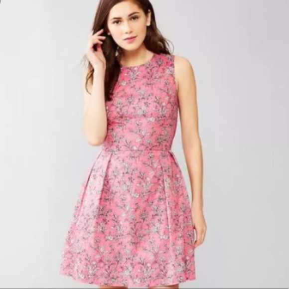 GAP Dresses & Skirts - CLISET CLEAR OUT Gap Floral Fit and Flare Dress
